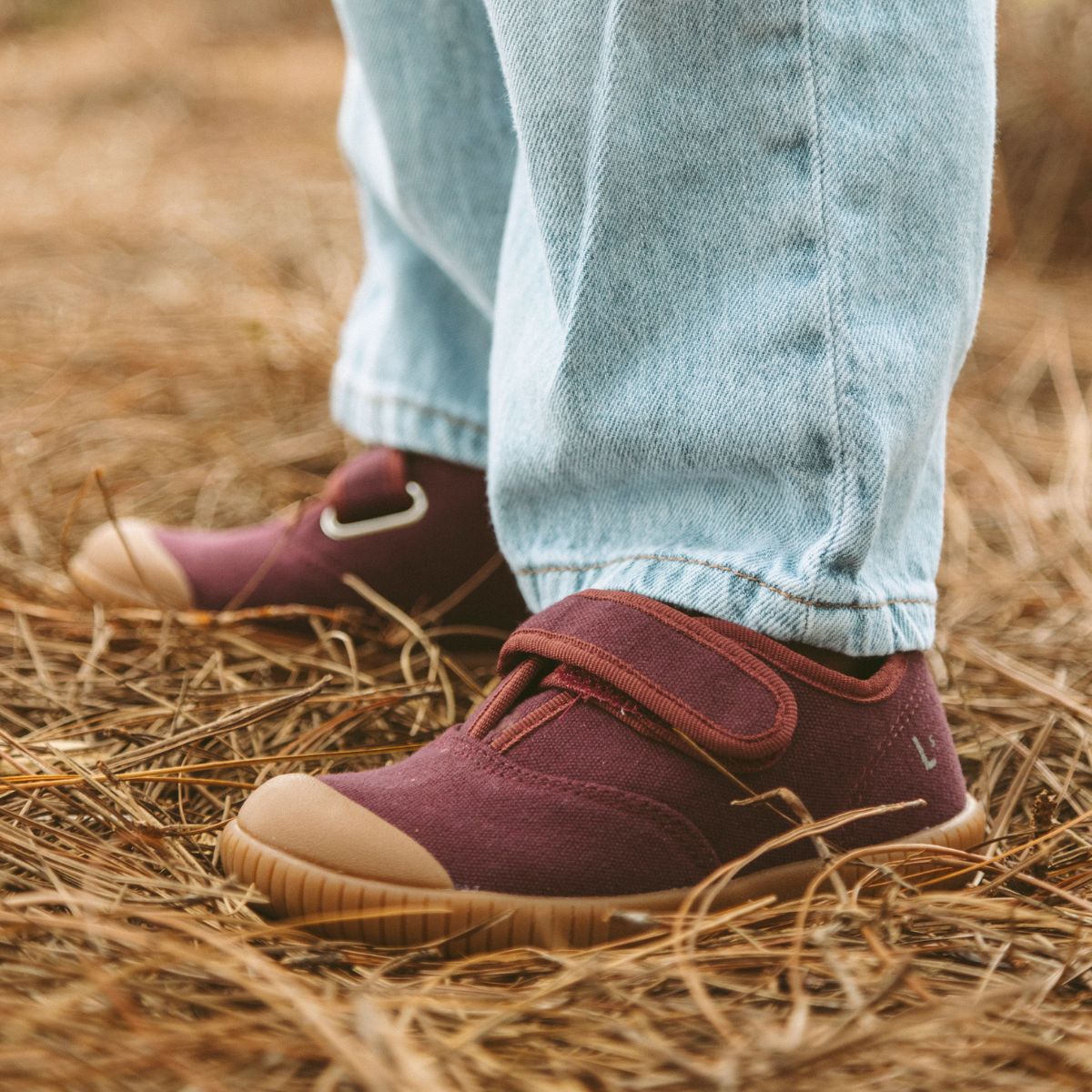 Tênis Cano Baixo Bento Ameixa