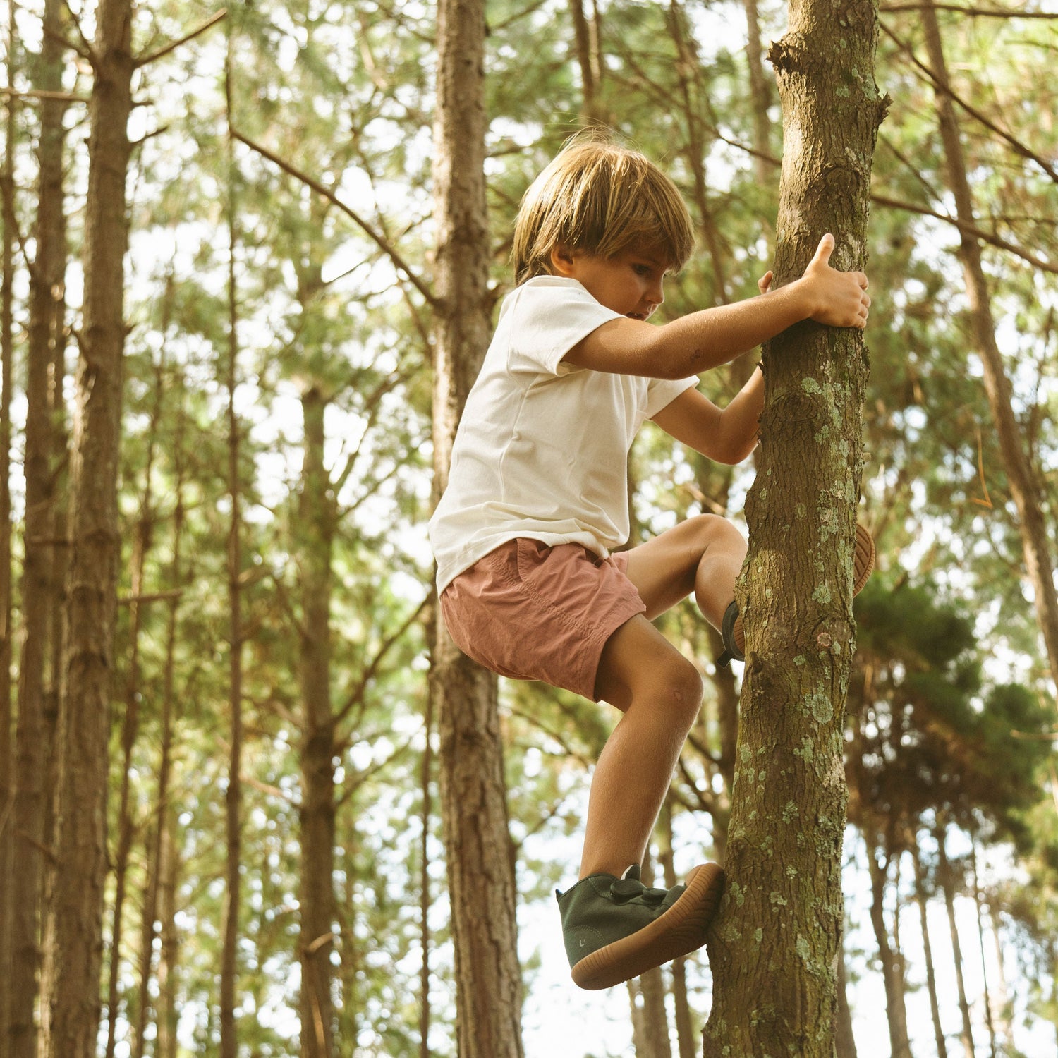 Tênis Cano Alto Luca Verde Trevo Sola Craft