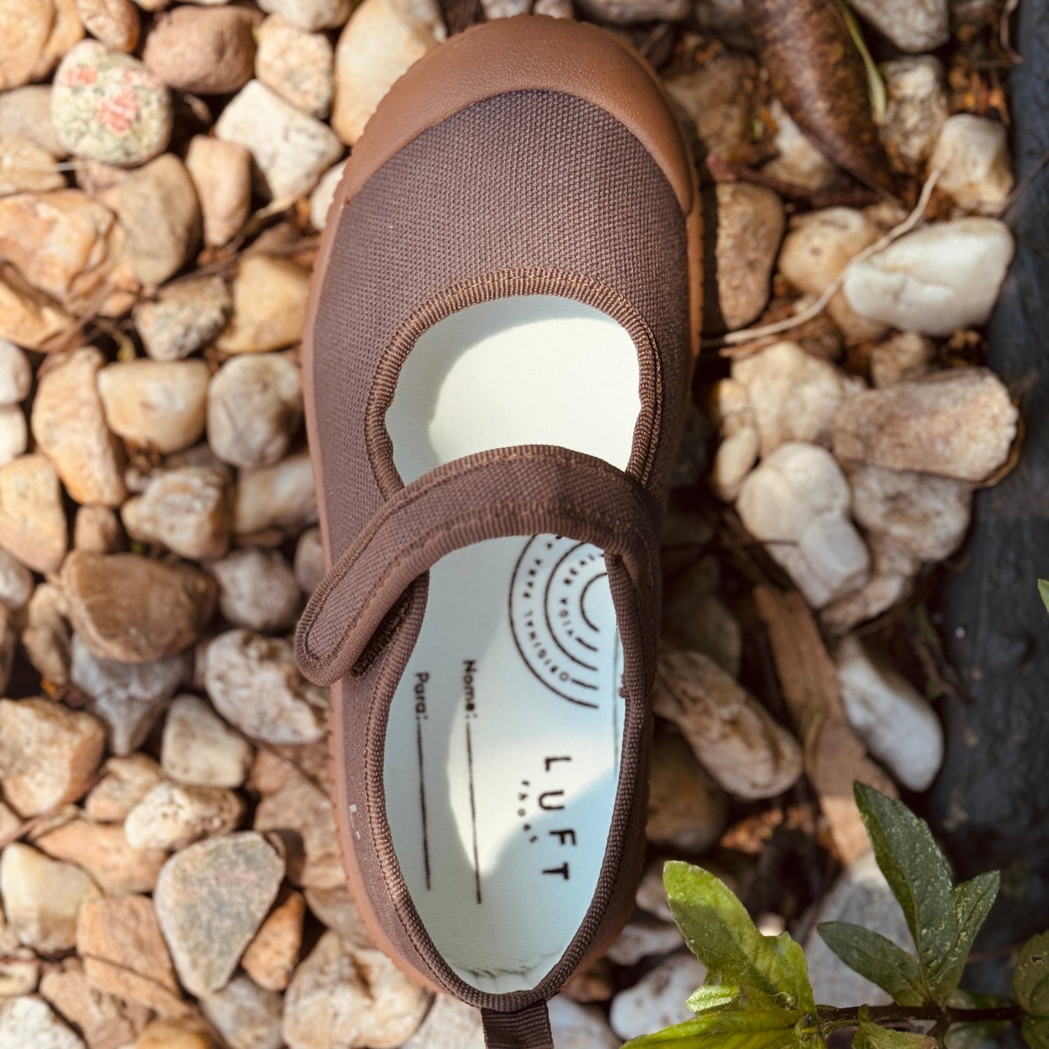 Sapatilha Isa Bege Argila