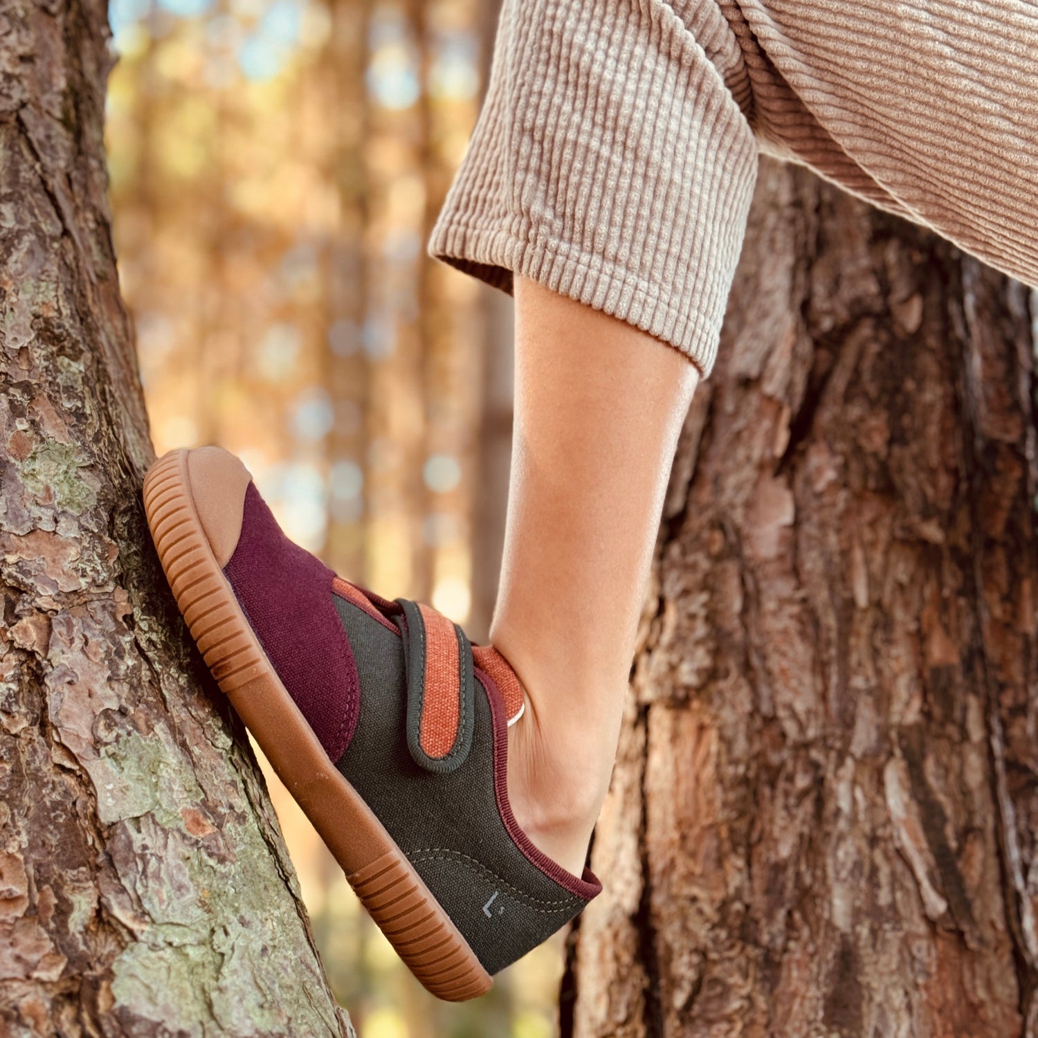 Tênis Cano Baixo Bento Tricolor Floresta