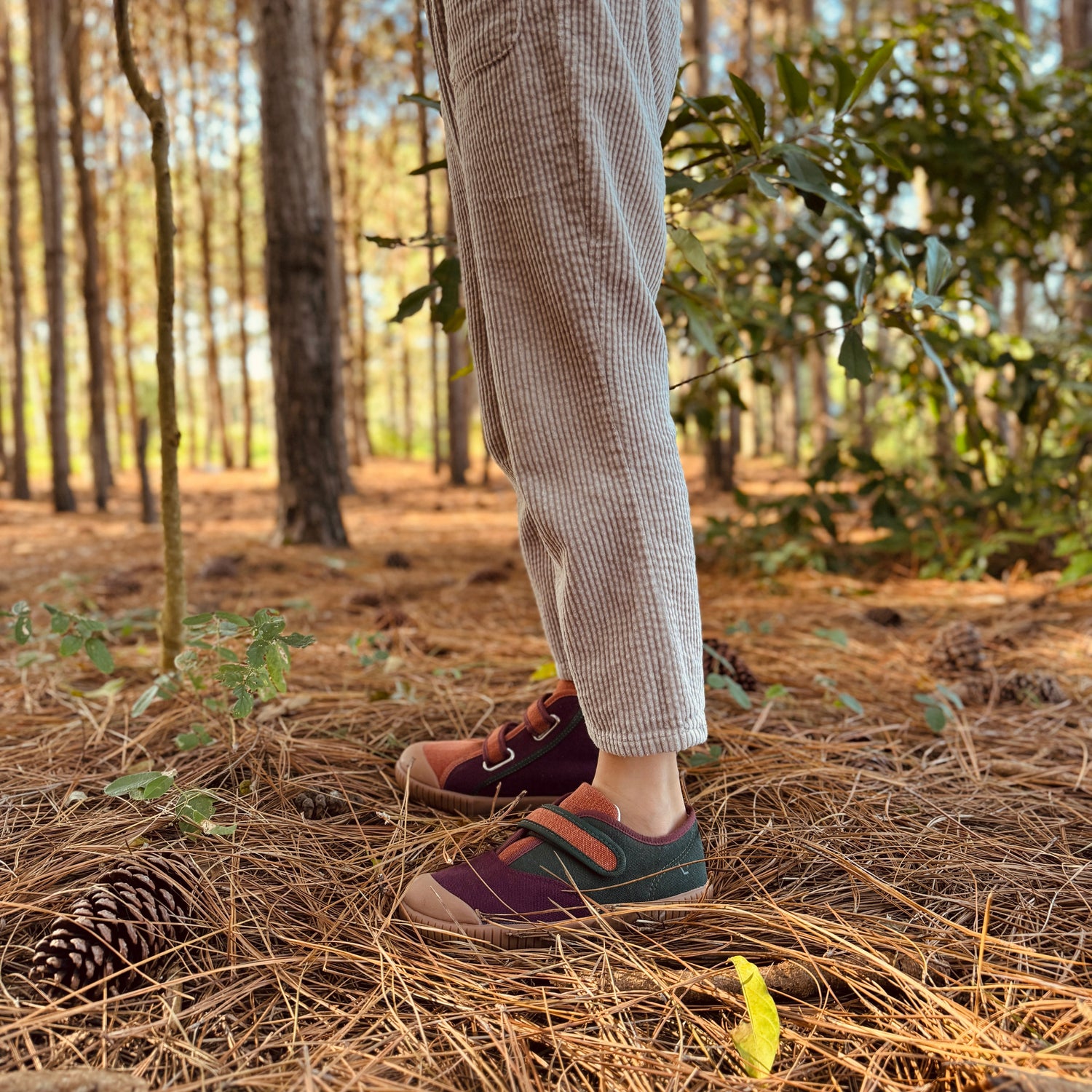 Tênis Cano Baixo Bento Tricolor Floresta