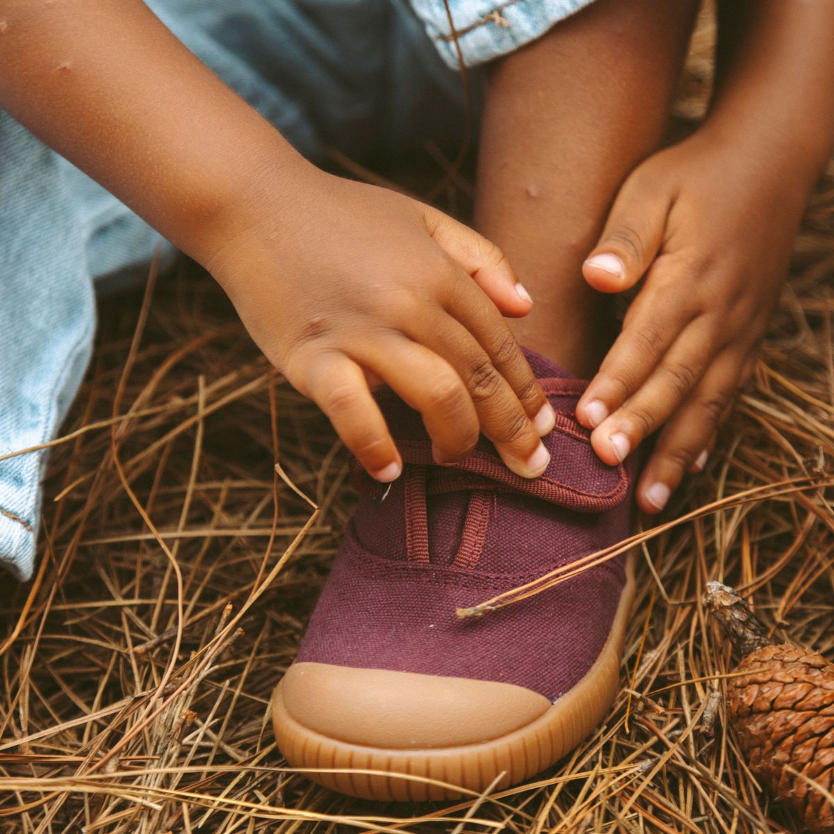 Tênis Cano Baixo Bento Ameixa